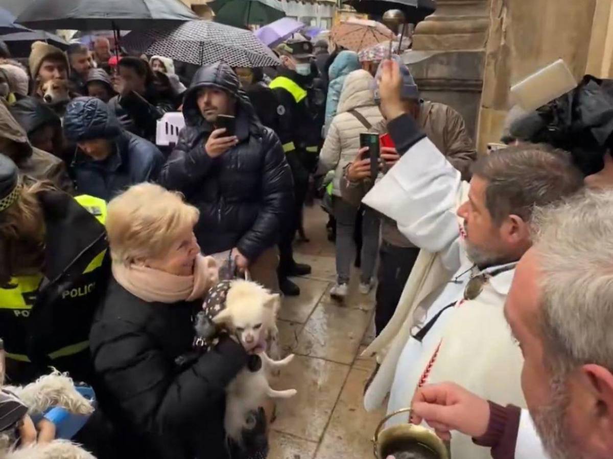 Entre patitas y bendiciones: la emotiva bendición de mascotas en San Antonio de Abad