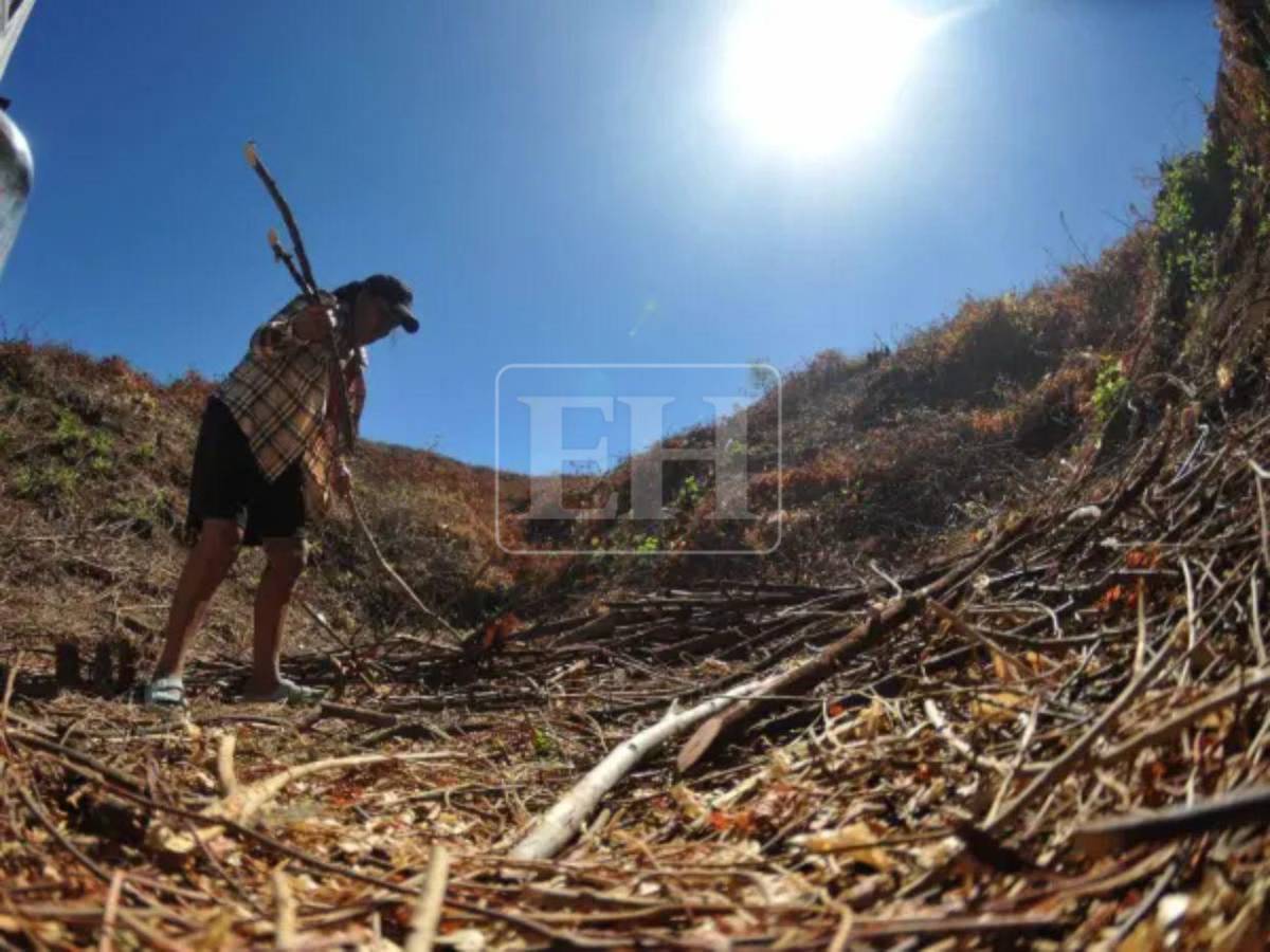 Anuncian ingreso de nueva onda tropical la próxima semana que dejará lluvias en Honduras