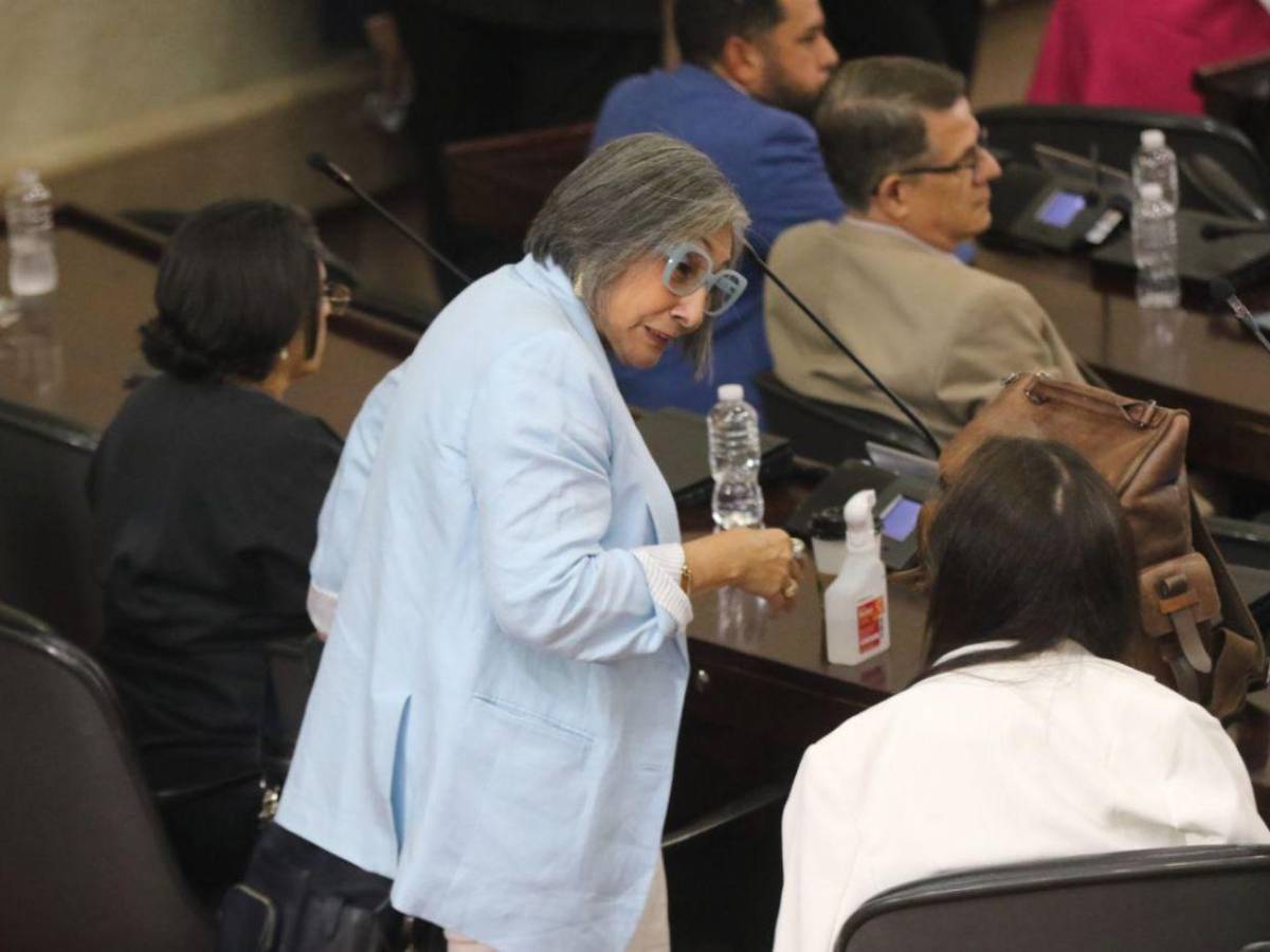 Mientras Redondo está en Marruecos, Congreso Nacional desarrolla sesión legislativa