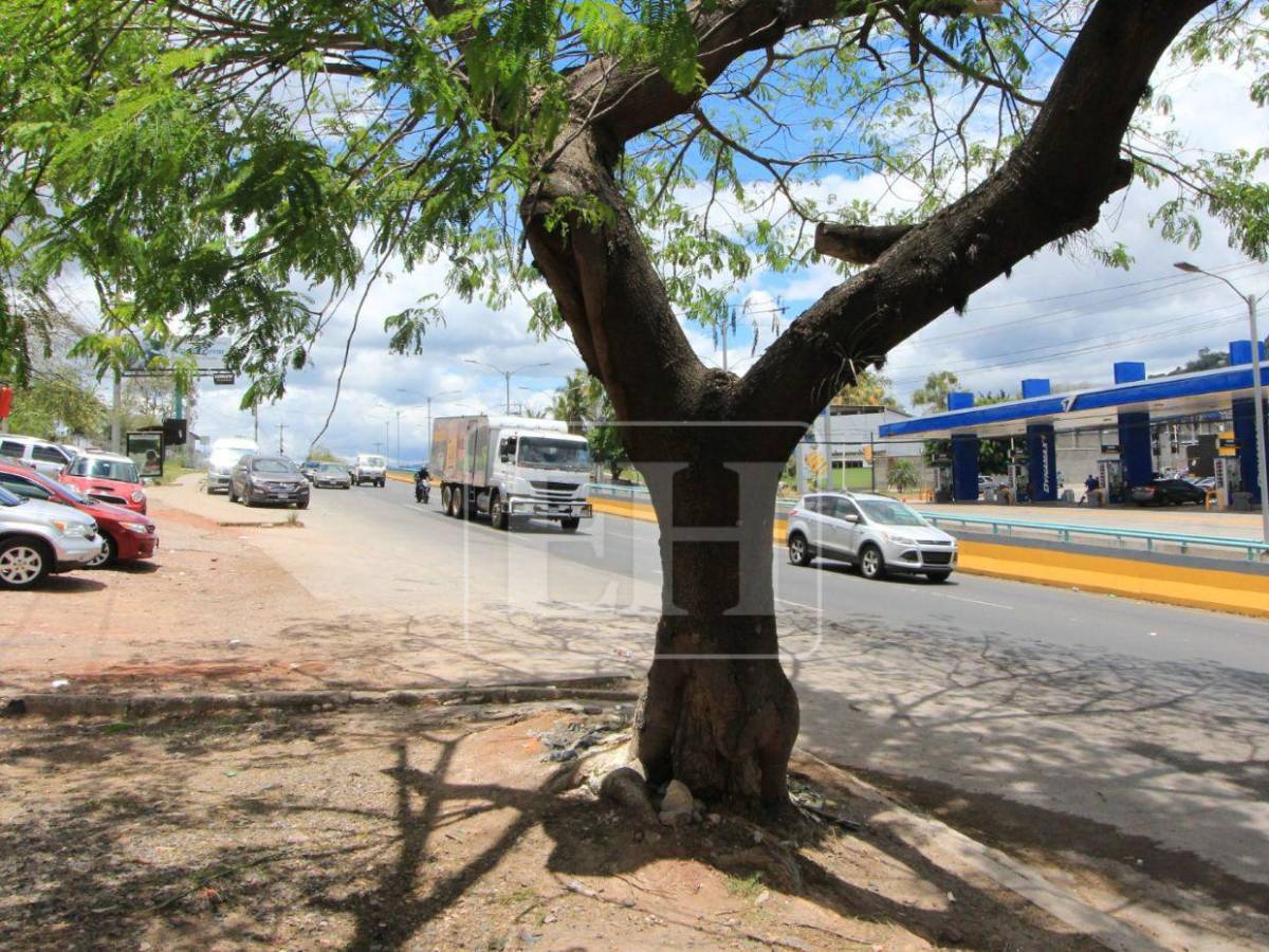 Solo escombros: la escena del accidente donde Hernán Martínez perdió la vida