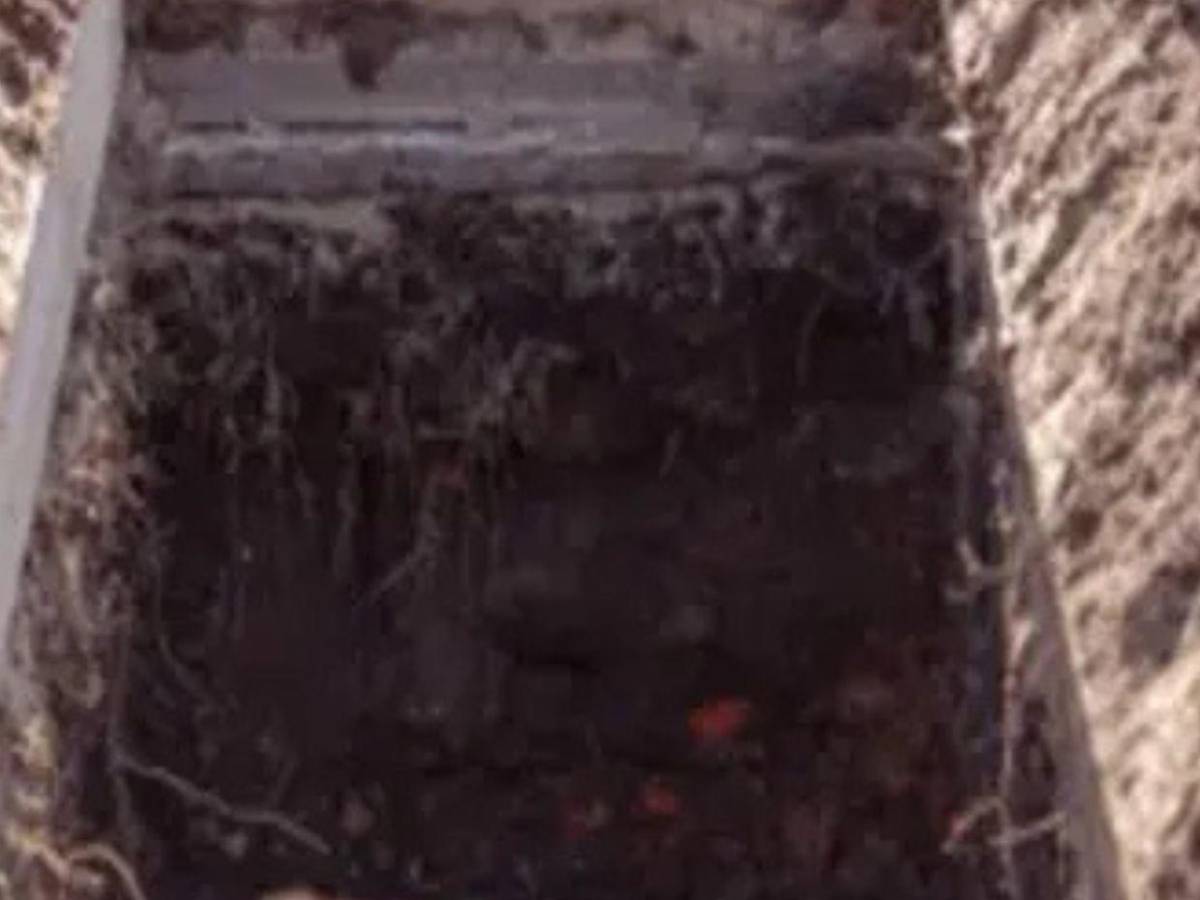 Así ejecutaron a dominicano en México, tras dos meses de secuestro : Nadie me ayudó