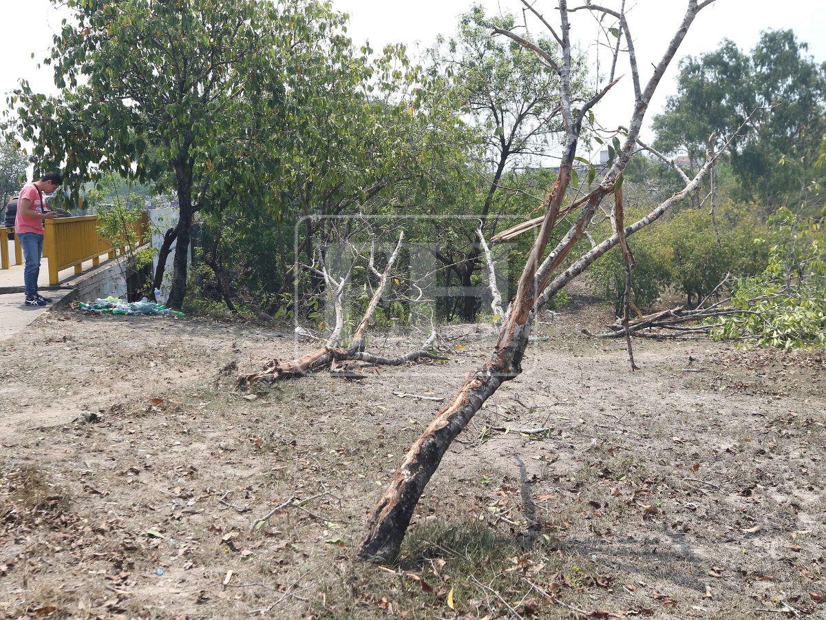 Arrancó árboles antes de volar al vacío: así quedó escena del accidente en Altos de Toncontín