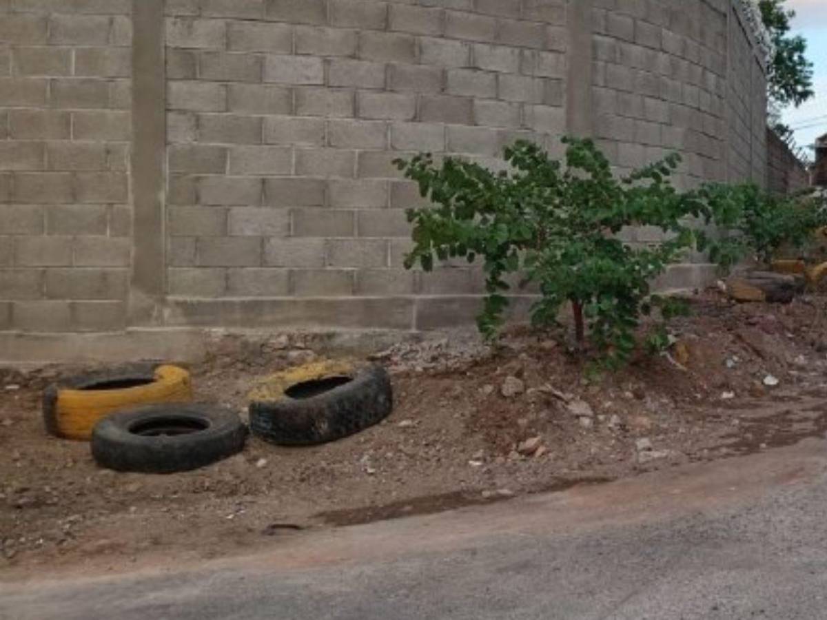 Recuperan basurero clandestino en la colonia Las Torres, en la capital
