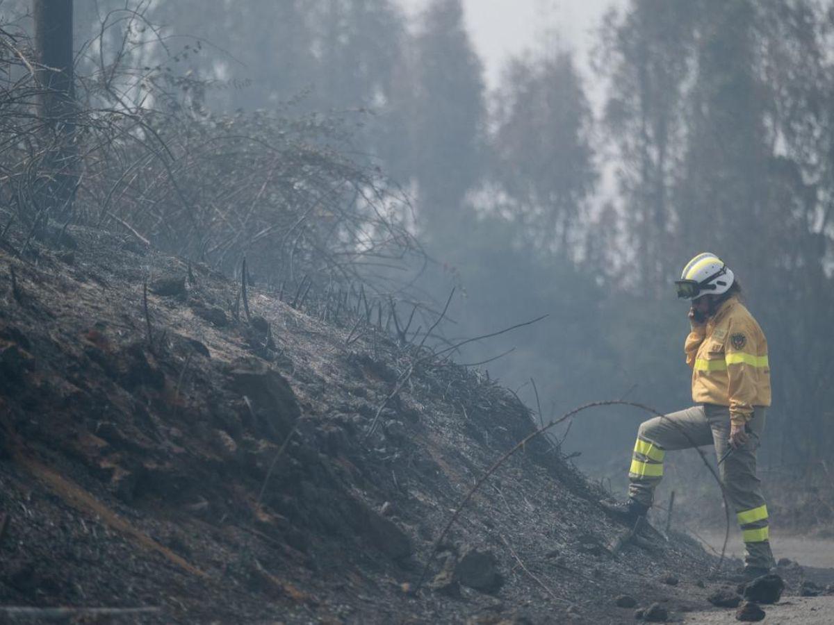 Incendio voraz en la isla española Tenerife provoca evacuación de 3,000 personas