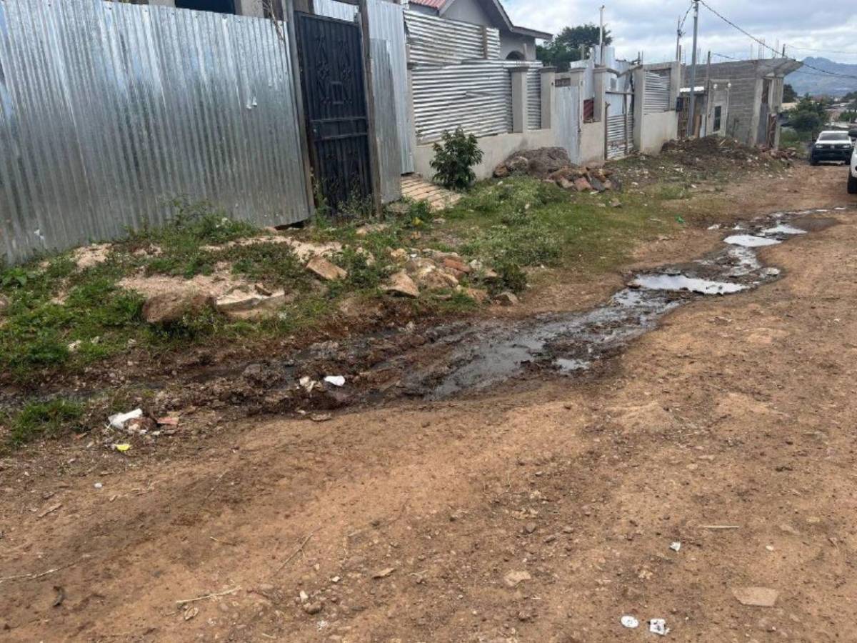 Calles destruidas complican la vida de familias en Monte de Los Olivos