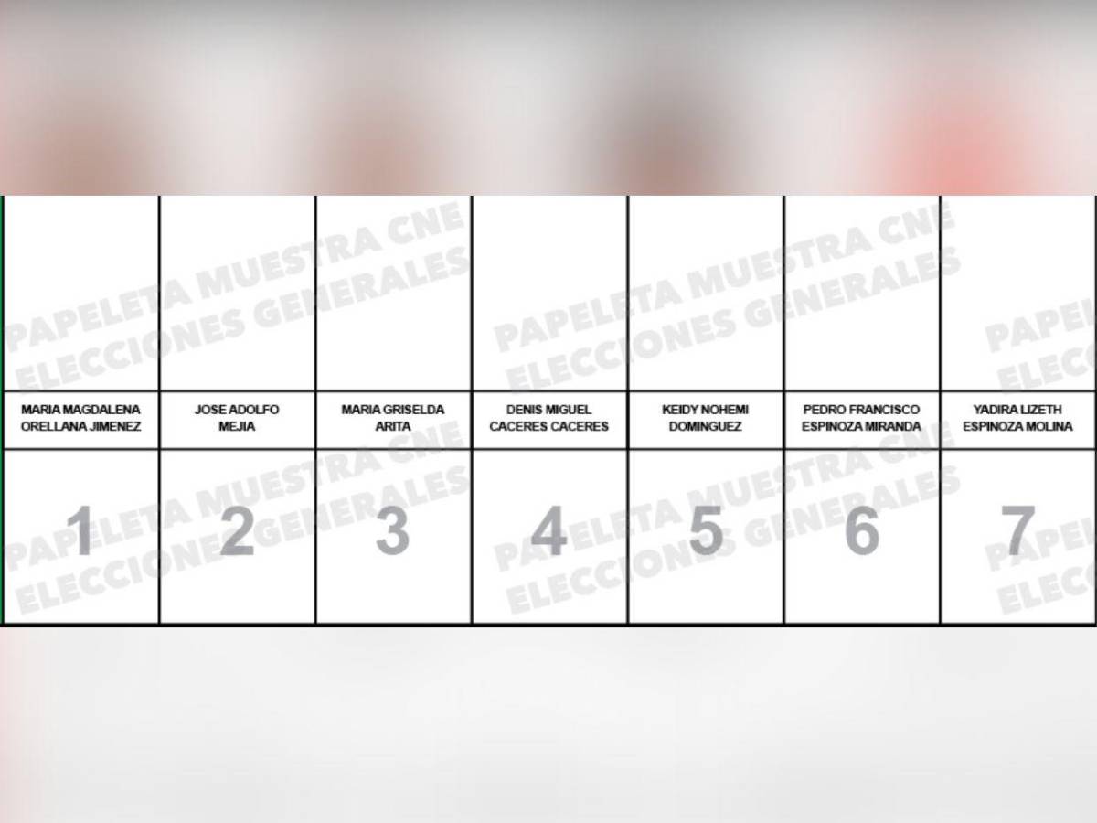 Sin candidatos en Colón y Valle: así va la papeleta de aspirantes a diputados de Chano Rivera