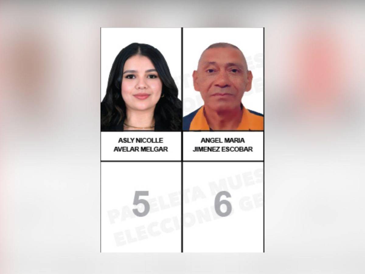 ¿Quiénes son los candidatos a diputados por el PINU-SD, de Nelson Ávila?