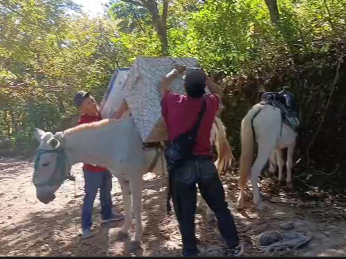 En lanchas y a lomo de mula trasladan maletas electorales a Colomoncagua y Morolica