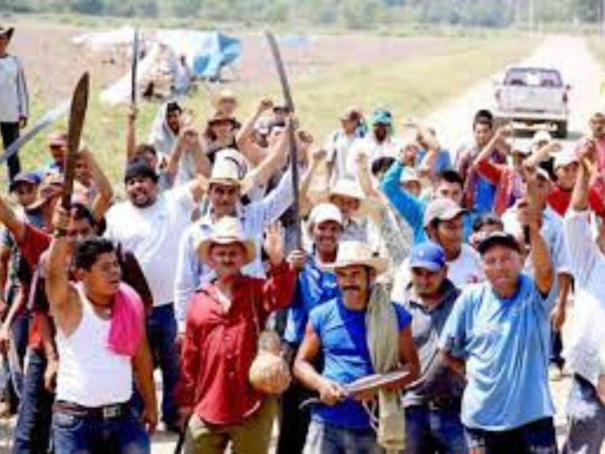 Tensión por conflicto agrario genera temor en Colón