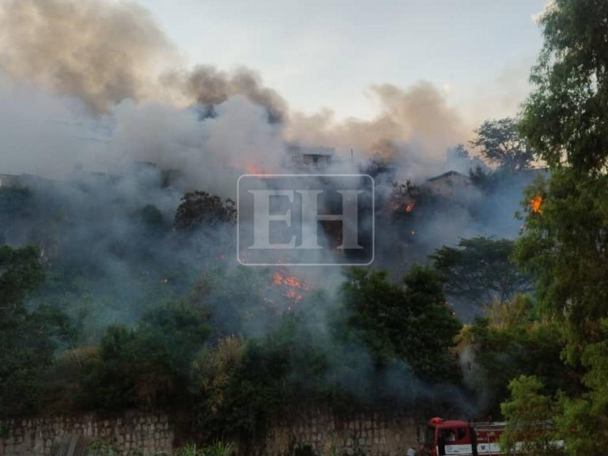 Familias desesperadas: Así fue el pavoroso incendio que afectó varias viviendas en La Rivera de La Vega