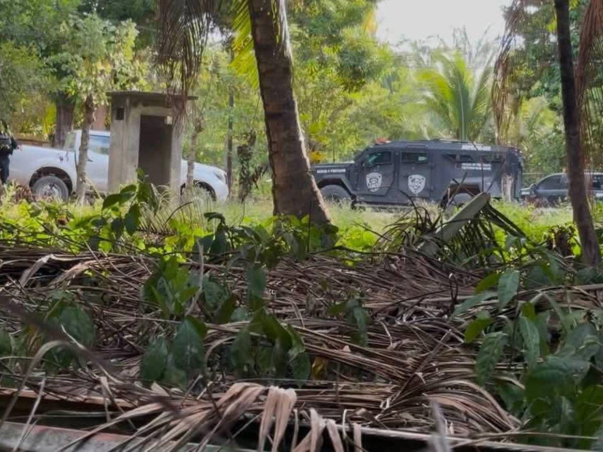 Fusiles AR-15 y municiones: el arsenal decomisado a los siete sospechosos de la masacre de Rigores