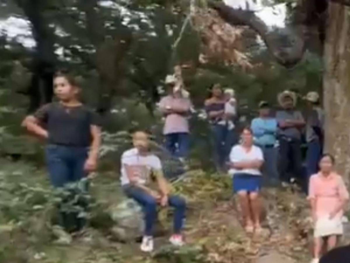 Un menor asesina a machetazos a sexagenaria para robarle su celular en  Lempira