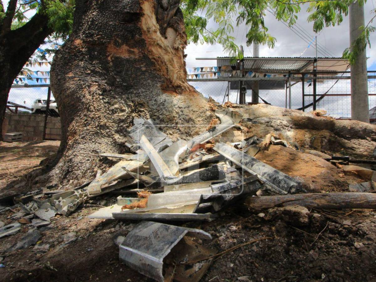 Solo escombros: la escena del accidente donde Hernán Martínez perdió la vida