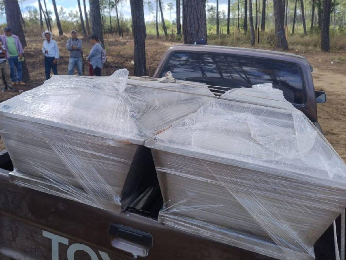 ICF encargó al ambientalista Juan Silva tomar fotos de los taladores antes ser asesinado