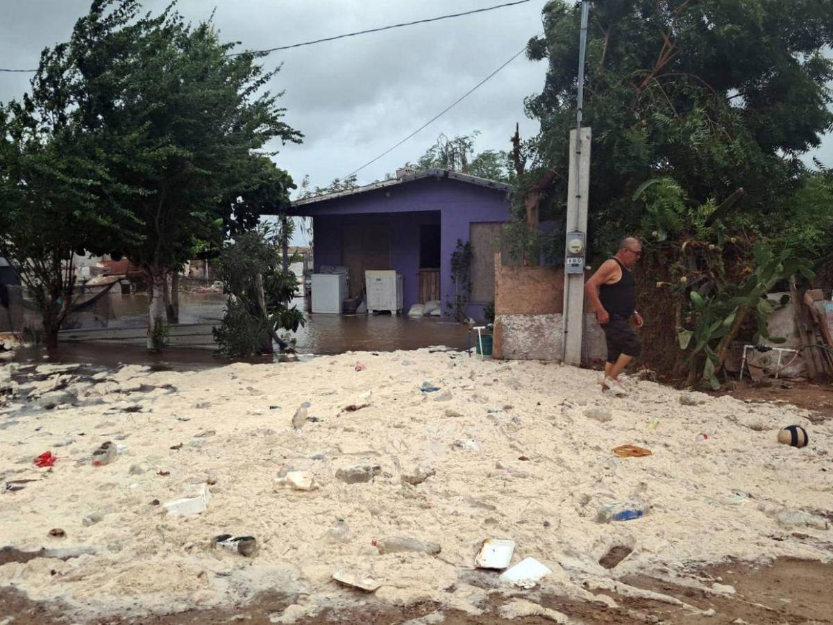 Inundaciones y caída de árboles: huracán Polo deja daños en México tras tocar tierra por segunda vez