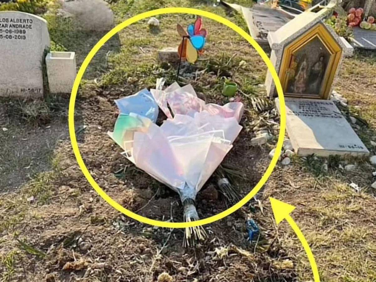 ¿Valeria Márquez apareció en una transmisión tras ser asesinada? Esto revela video