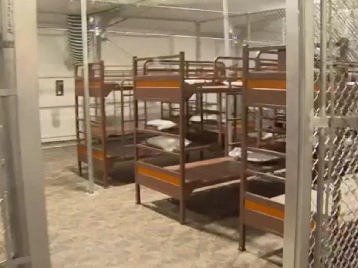 Turista mexicano con visa es detenido en Florida y enviado a Alligator Alcatraz