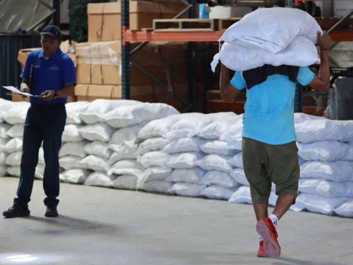 Para enfrentar sequía en corredor seco, más de 15,000 mil familias reciben asistencia alimentaria