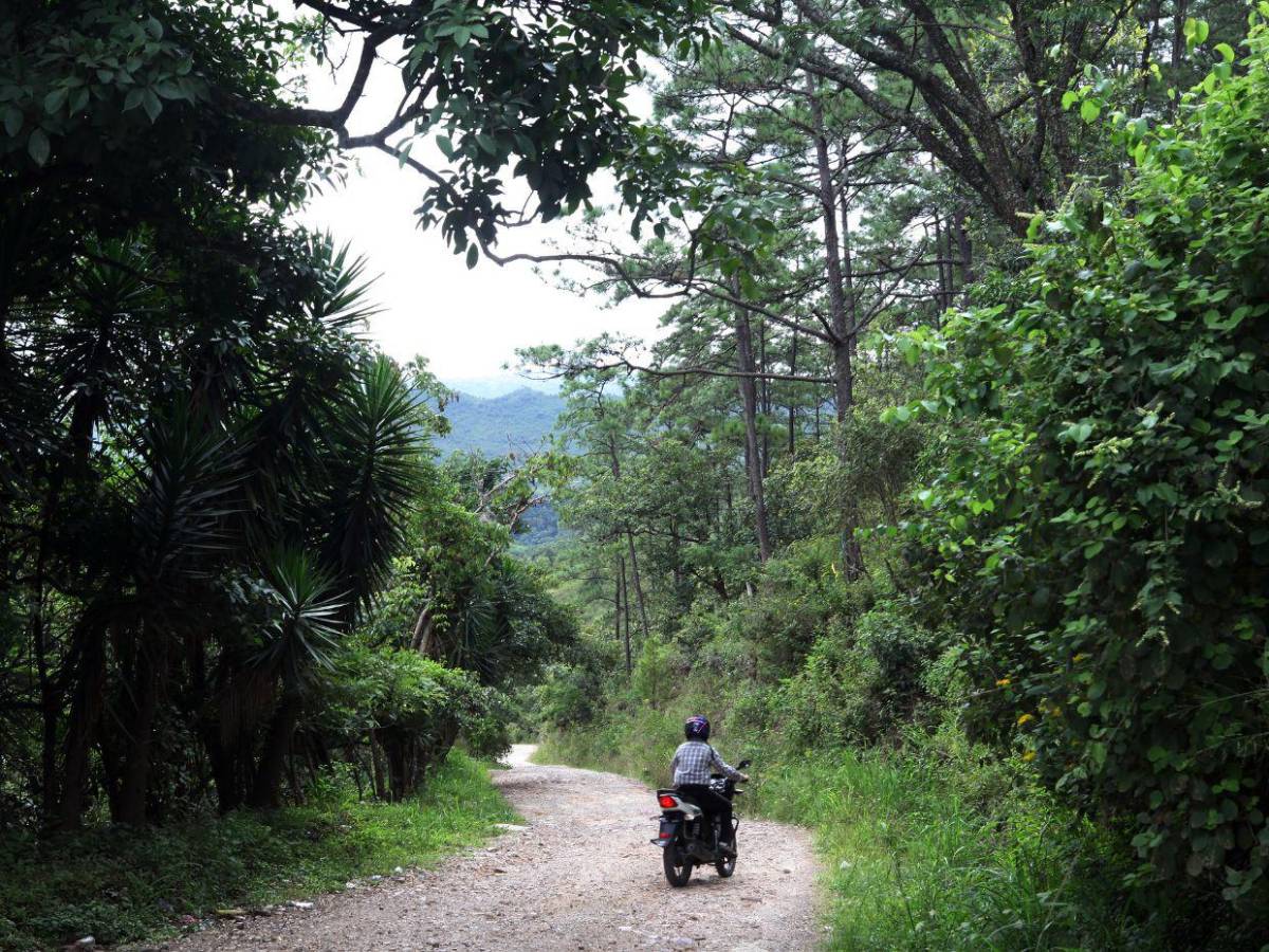 Así se encuentra hoy la carretera donde se prometió el libramiento al sur