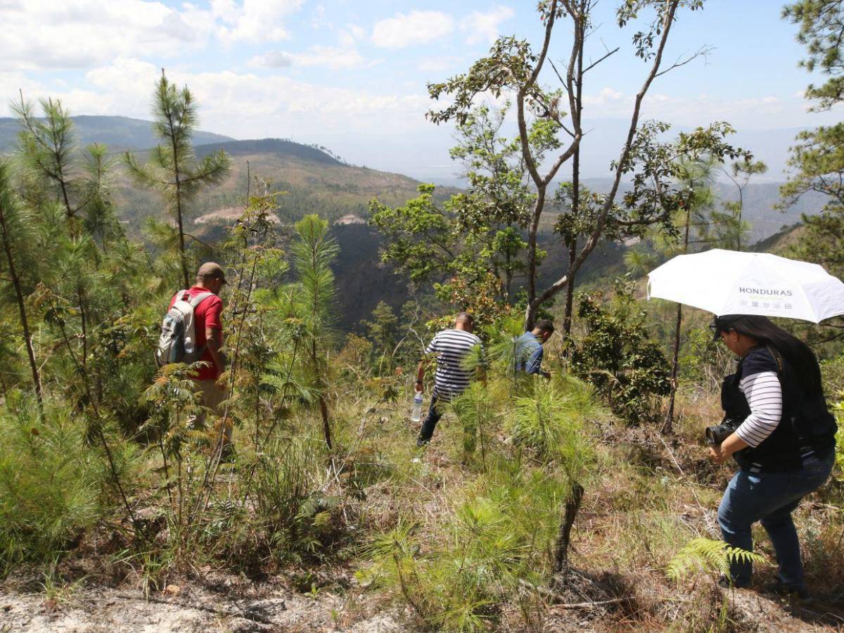 ICF encargó al ambientalista Juan Silva tomar fotos de los taladores antes ser asesinado