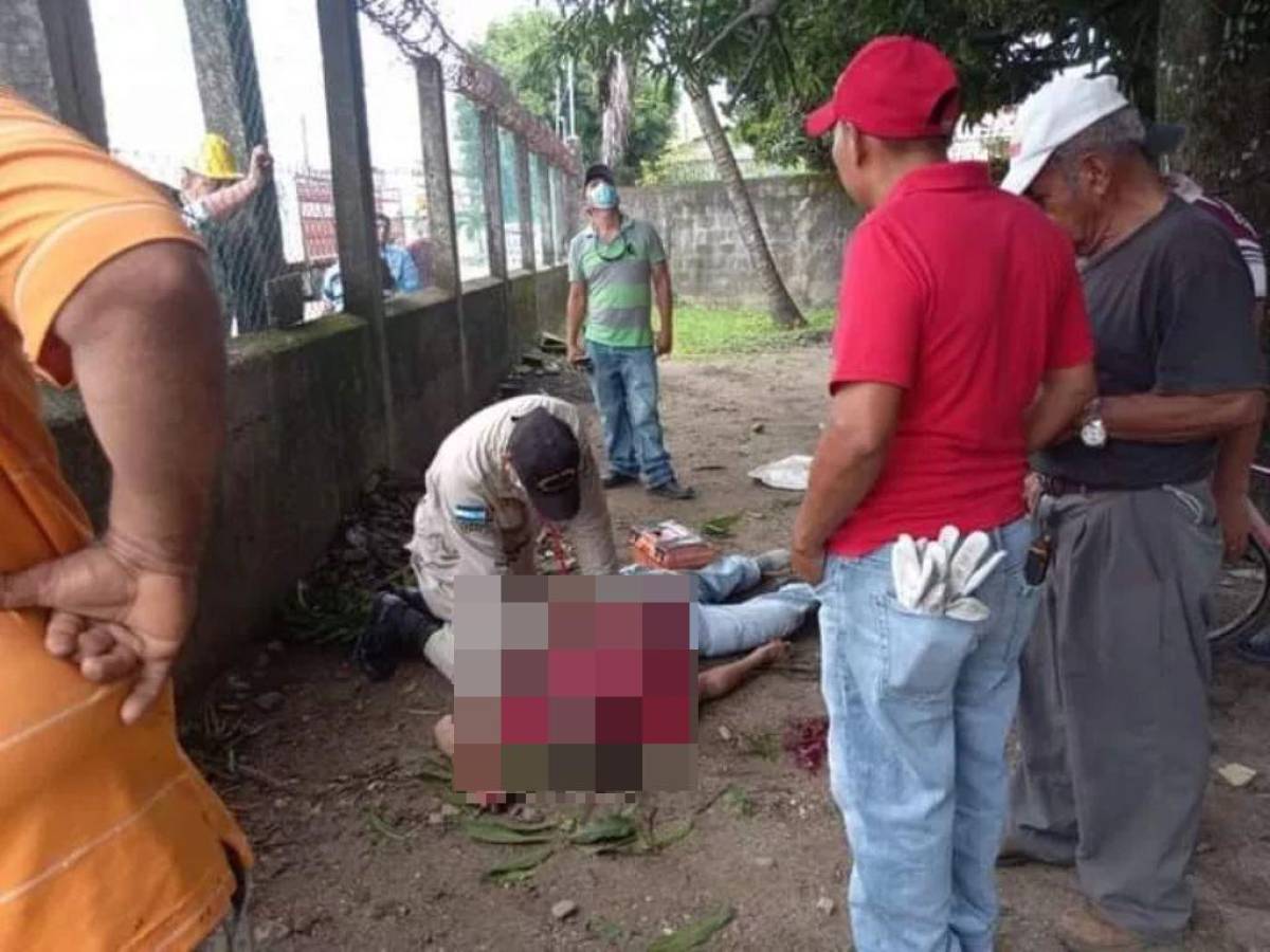 Hombre muere electrocutado cuando bajaba mangos en Puerto Cortés