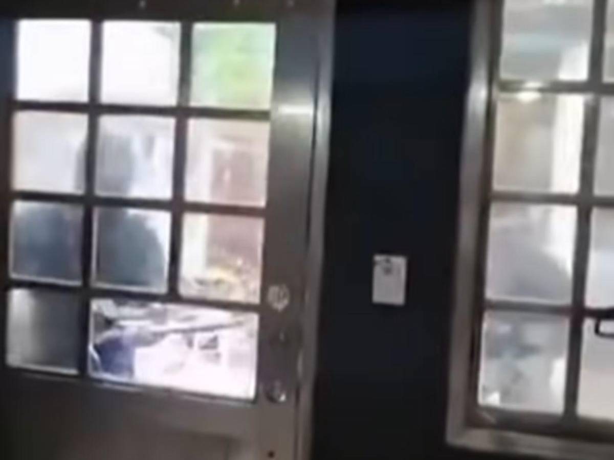 ¿Quién es Roxana Guzmán, la periodista que fue secuestrada en Veracruz, México?