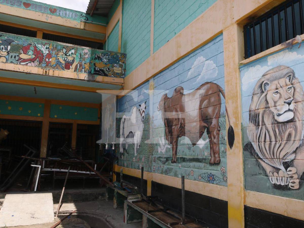 Pelea de gallos, criadero de peces y patos: Támara está lejos de ser una cárcel