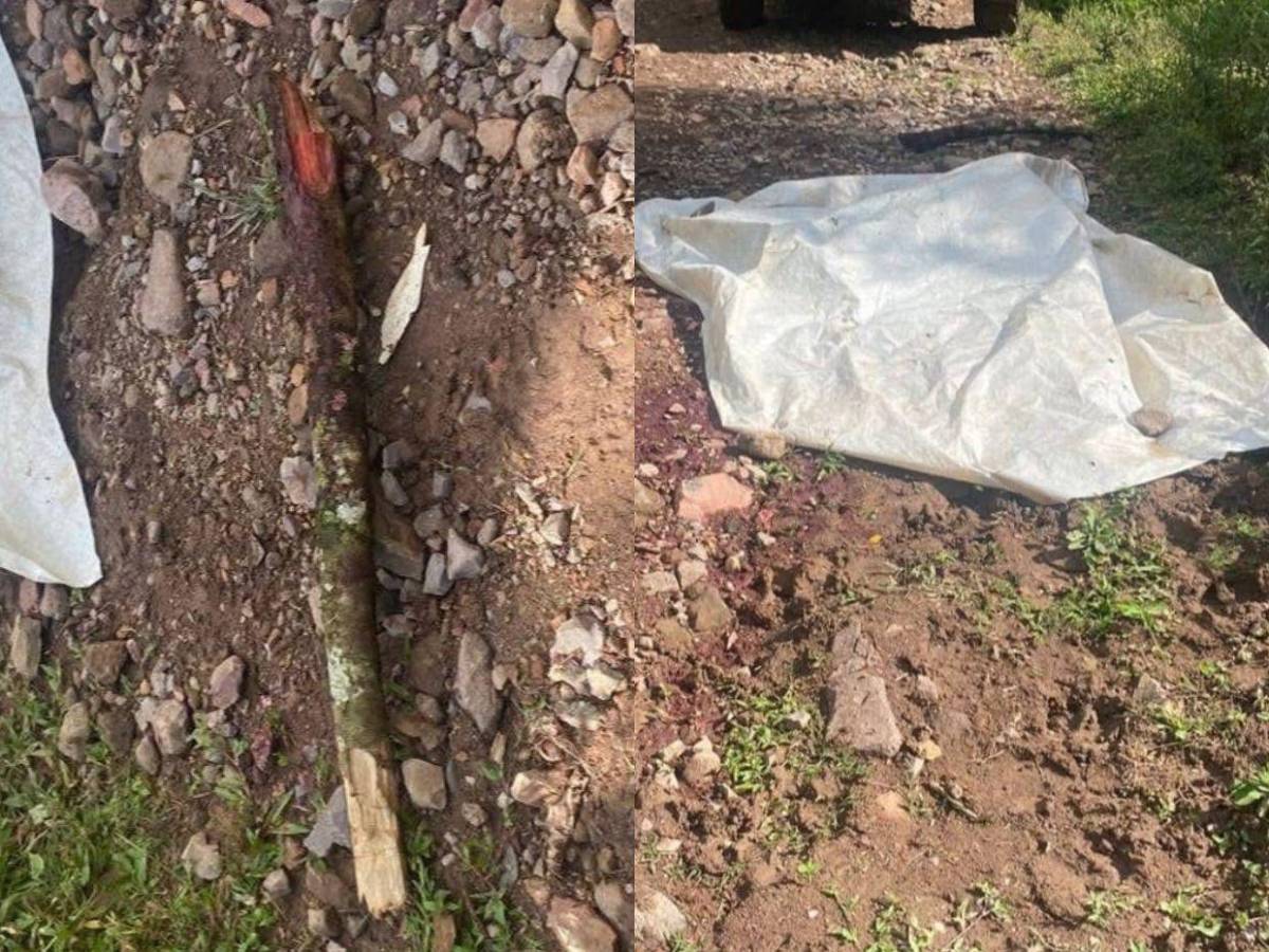 Lo asesinaron a golpes con un garrote: ¿Qué se sabe del crimen de Jacobo Arita en Copán?