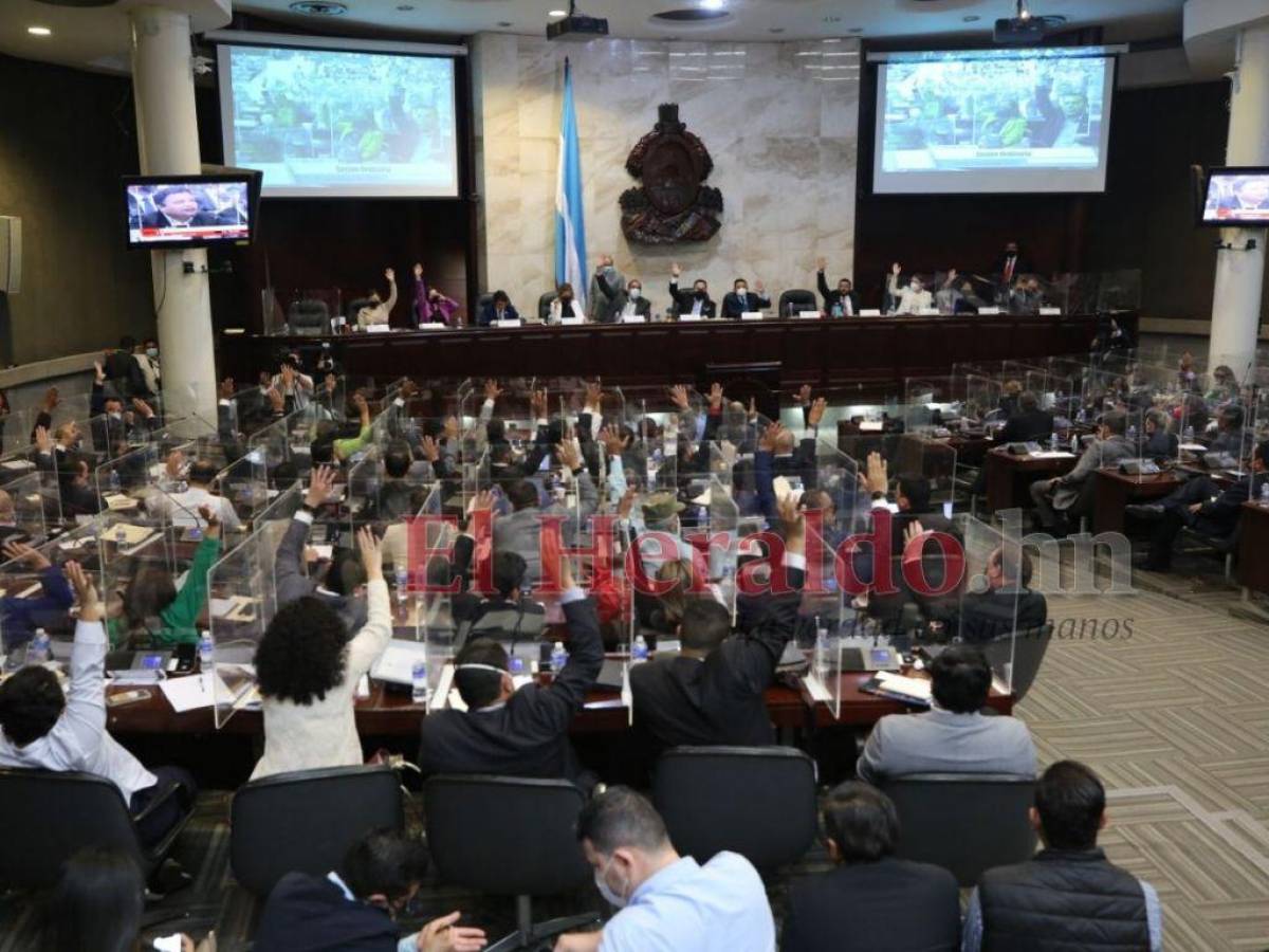 “Con decretos presentados se busca declarar inconstitucional a las ZEDE”: diputado Barrios