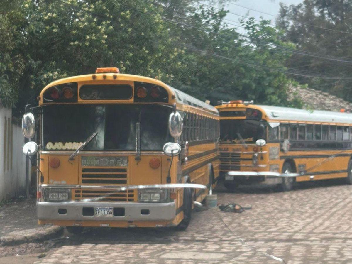 Transporte público paralizado en Ojojona por extorsión y amenazas