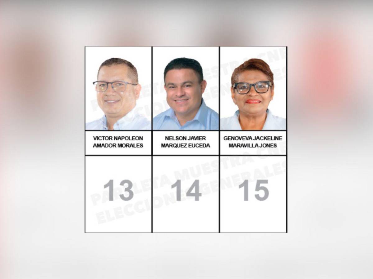 Papeleta con los rostros de los candidatos a diputados nacionalistas que buscan un curul en el CN