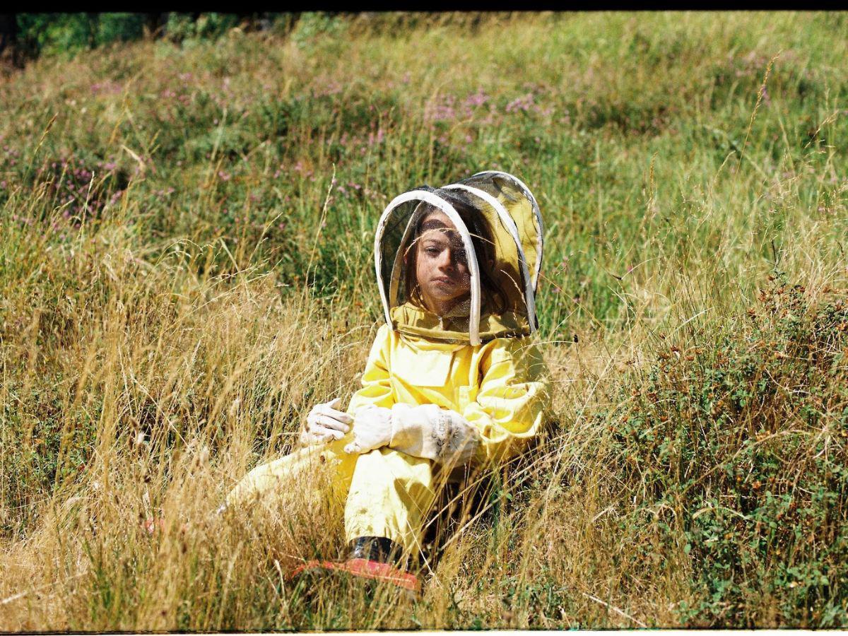 “20.000 especies de abejas” lidera nominaciones a los Premios Goya