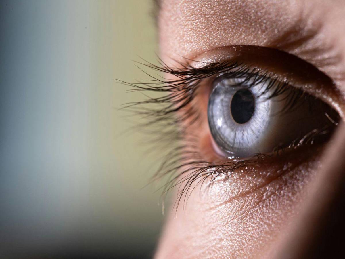 ¿Qué es la miasis y cómo puede causar la muerte?