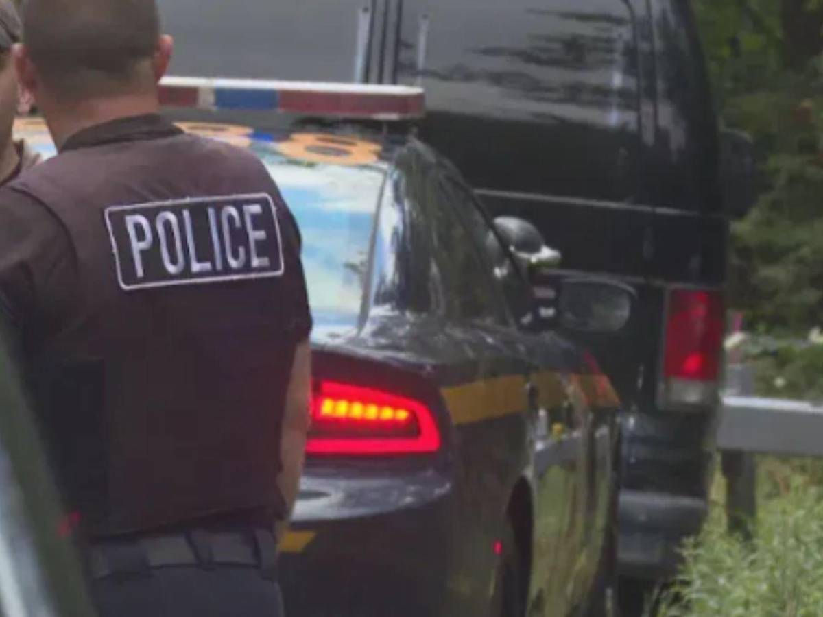 Caso Melina Frattolin: hallan muerta a niña de 9 años; presentan cargos contra el papá