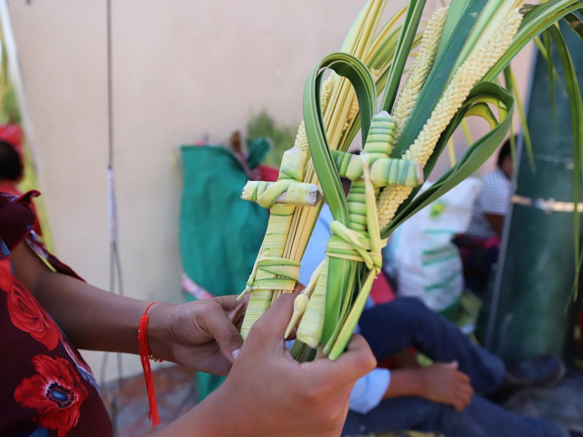 Inicia en Comayagua la venta de ramos previo a Semana Santa
