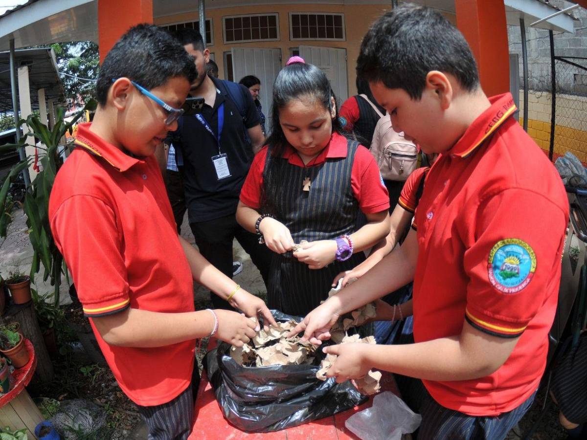 Escuelas Amigables: Niños ya son expertos en elaboración de compostaje