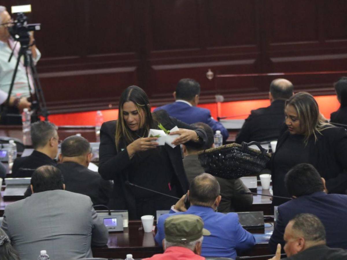 Mientras Redondo está en Marruecos, Congreso Nacional desarrolla sesión legislativa