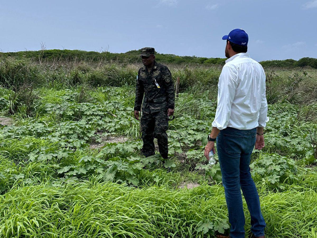 Reos en cárcel de Islas del Cisne cultivarán su propia comida y no recibirán visitas
