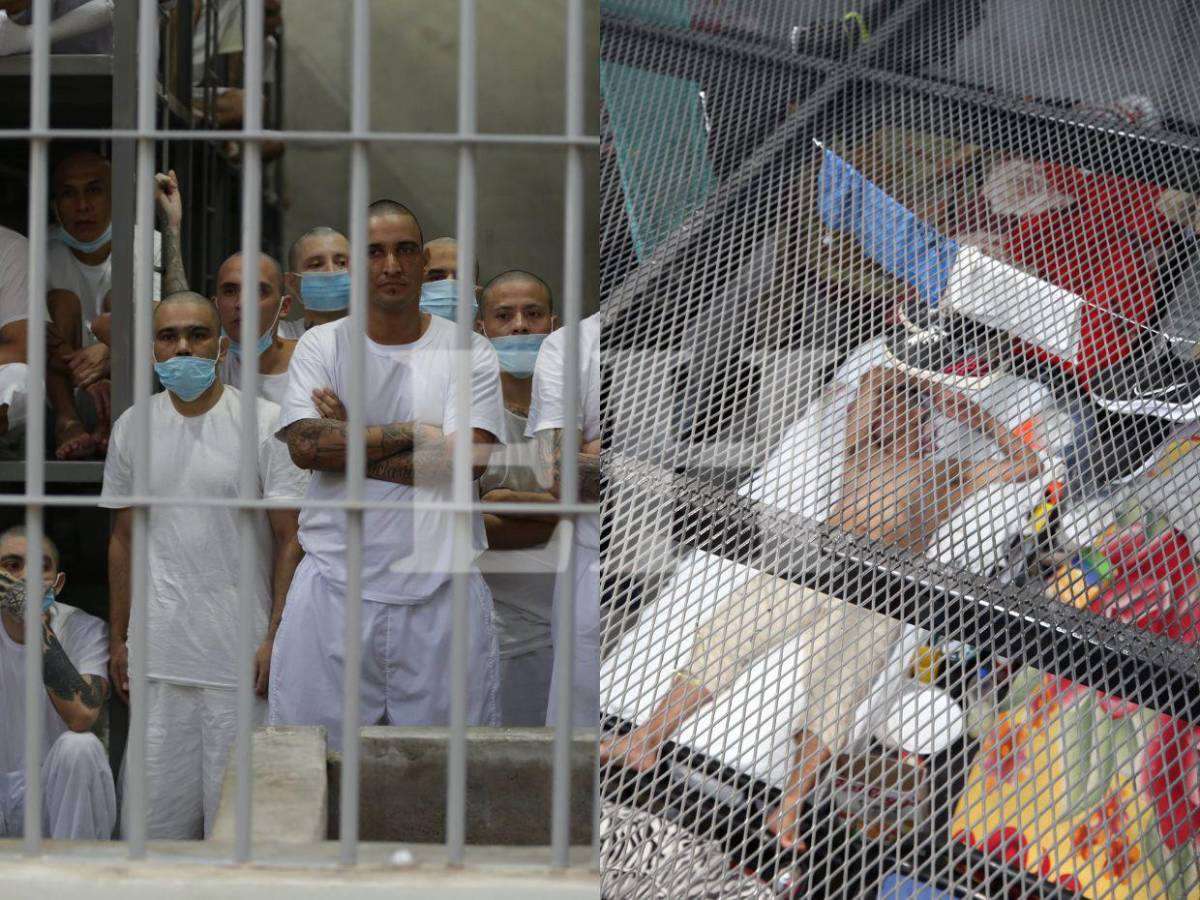 Solo arroz y frijoles y sin visitas: Nueva cárcel de Támara, una copia del Cecot de Bukele