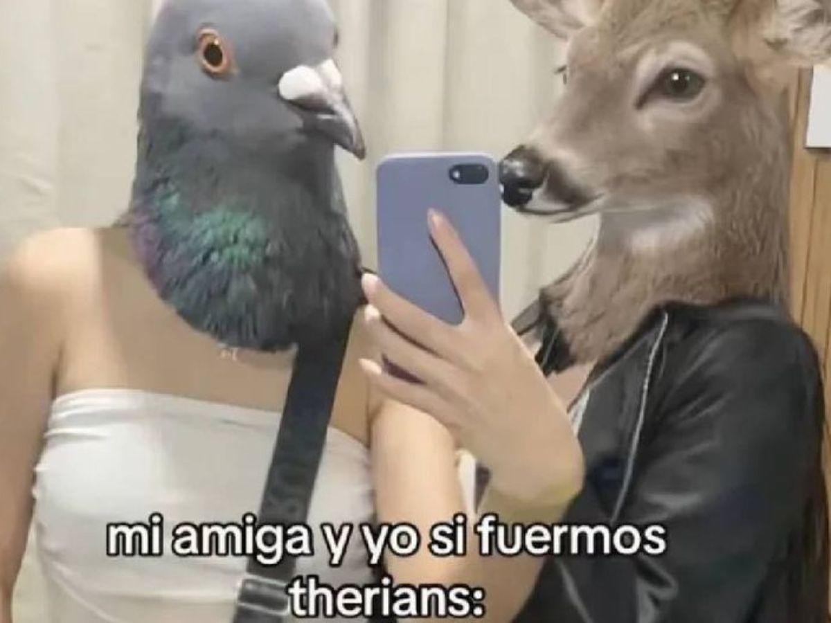Los mejores memes que está dejando la nueva tendencia de therians en redes