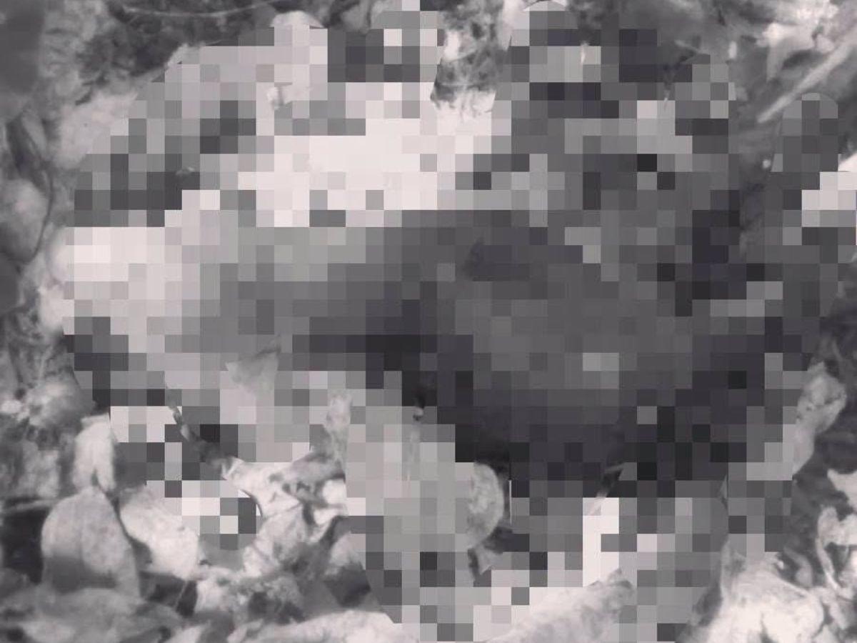 Hallan más extremidades donde encontraron el cuerpo desmembrado de Olvin Aguilera