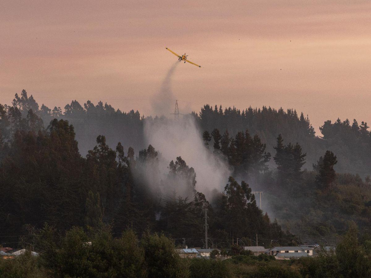EN FOTOS: Con mascotas en brazos y lágrimas, chilenos abandonan sus casas tras incendio