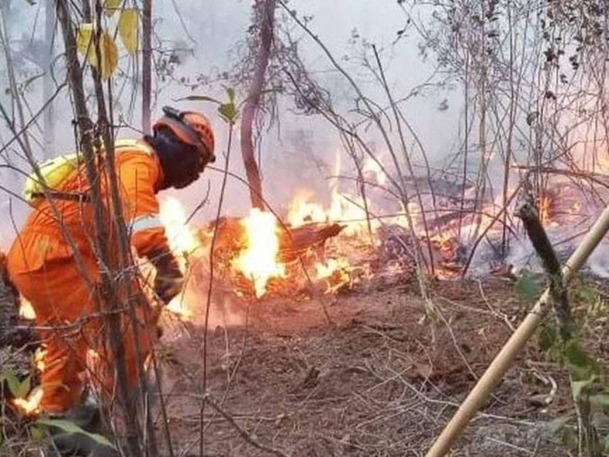 Incendios forestales provocan afecciones en vías respiratorias