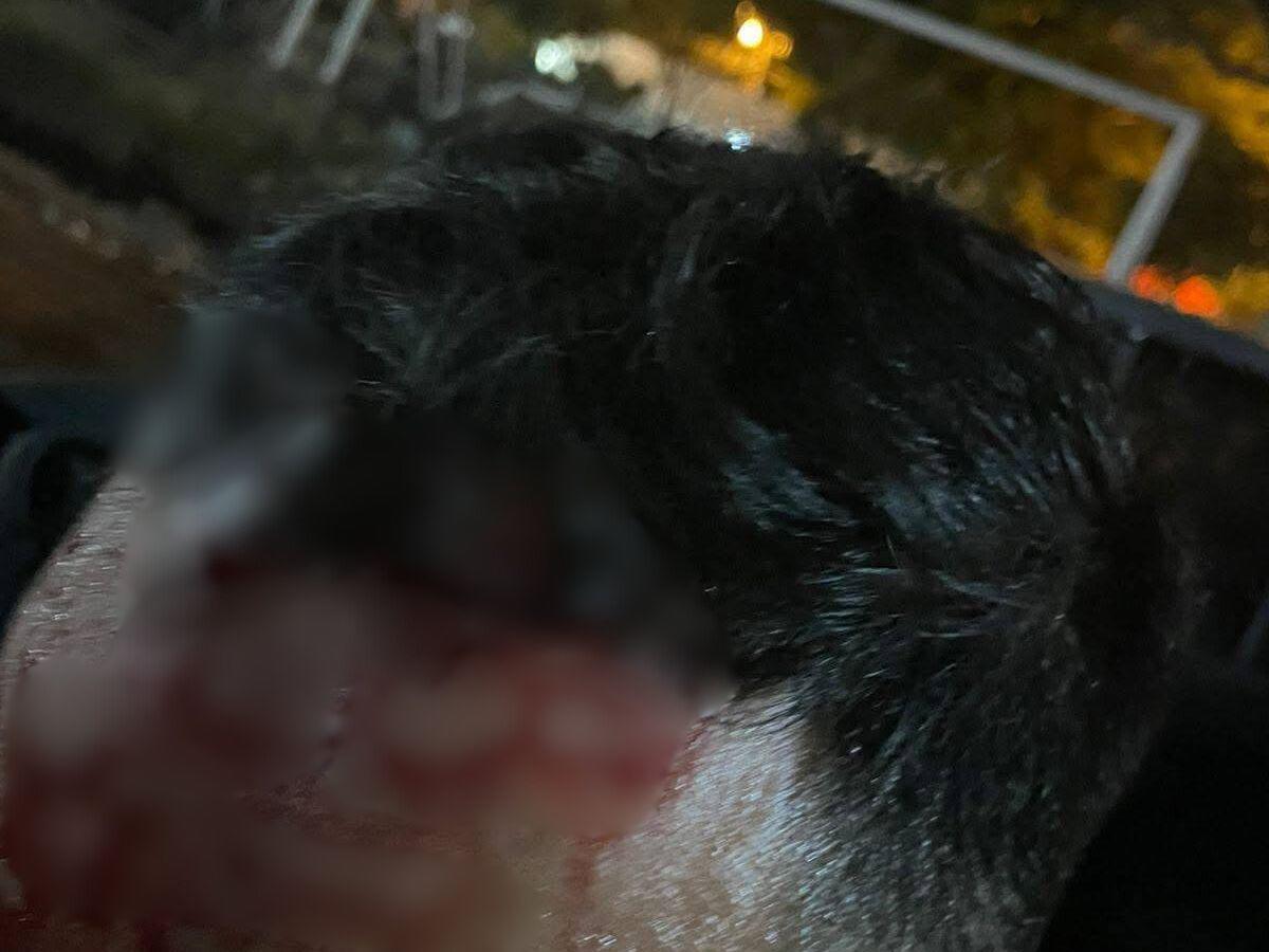 No puede caminar: Violentos disturbios en el Infop dejan varios heridos de gravedad