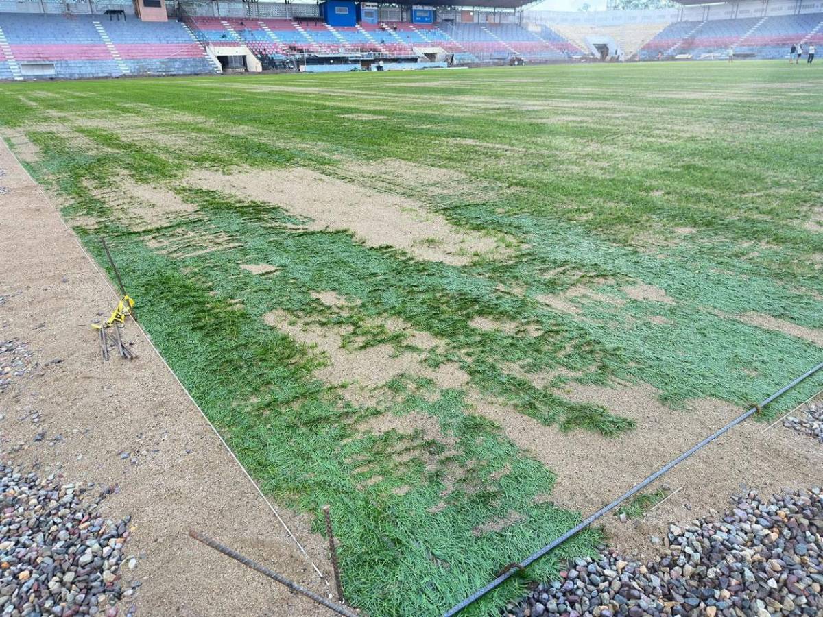 Así avanzan los trabajos de la nueva grama híbrida del estadio Ceibeño Así avanzan los trabajos de la nueva grama híbrida del estadio Ceibeño