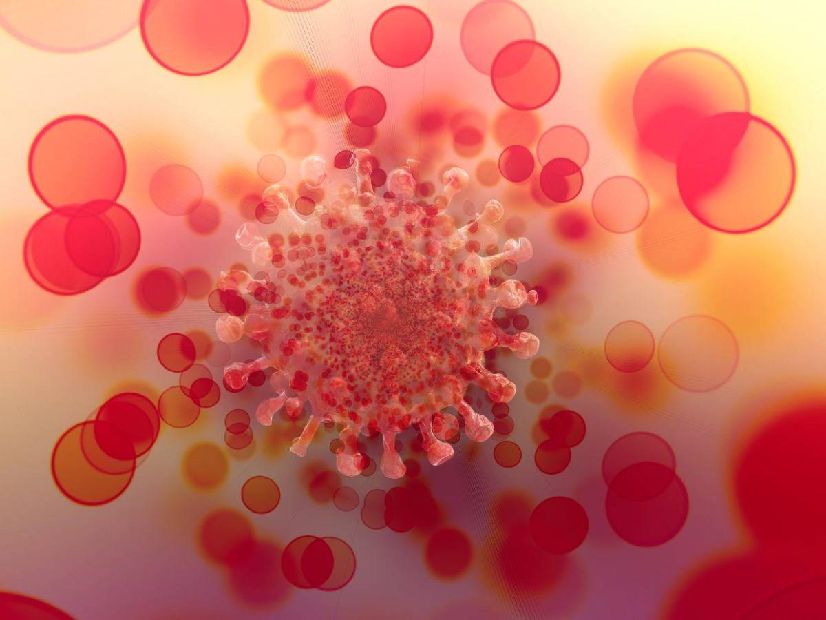 ¿Qué se sabe de Frankenstein”, la nueva subvariante de covid-19 presente en Honduras?