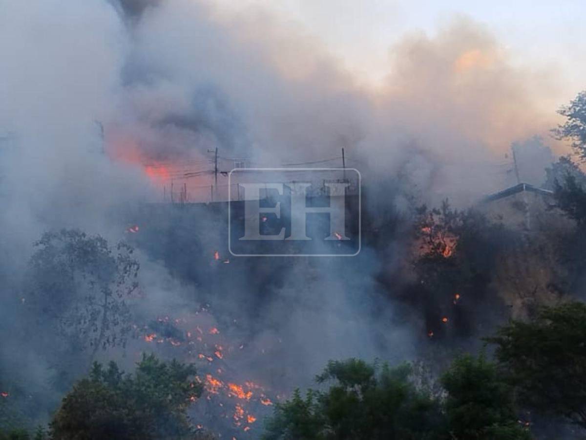 Familias desesperadas: Así fue el pavoroso incendio que afectó varias viviendas en La Rivera de La Vega