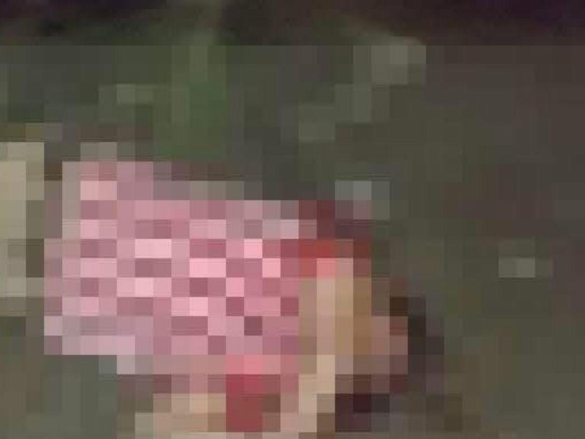 Posibles enemistades: lo que se sabe del doble crimen en diferentes sectores de La Ceiba