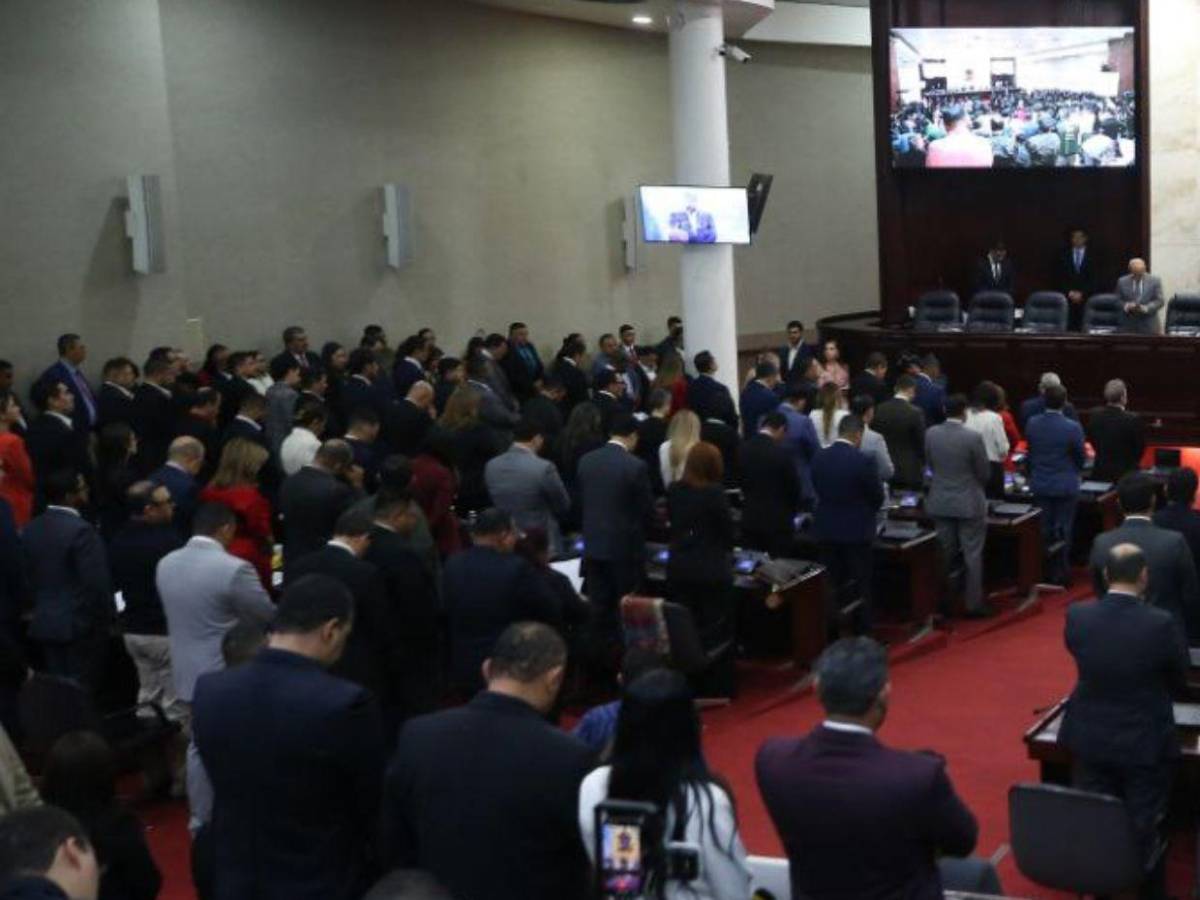 Quedan juramentados los 128 diputados propietarios y suplentes del Congreso Nacional