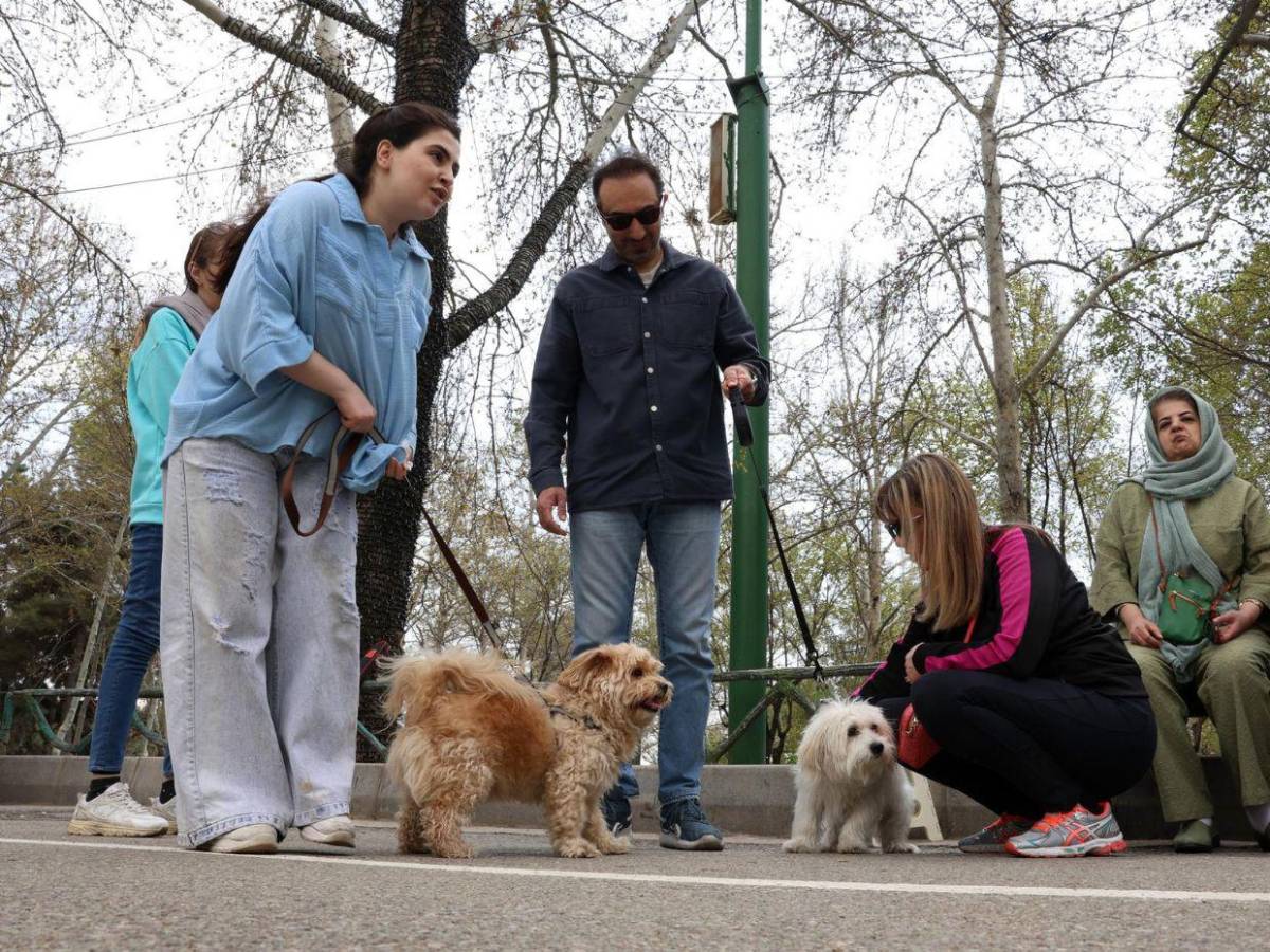 Van al parque, realizan picnic y asados: la vida de los iraníes en plena guerra con EUA